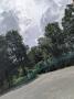 1773216-6a230795c91cf.jpg
