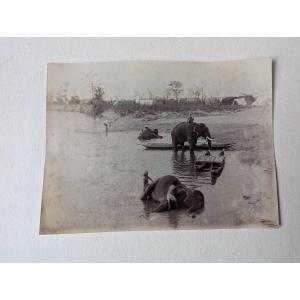 Rare 9x Photos INDE BRITANNIQUE ca 1885 Eléphants Artillerie Camp Militaire /...