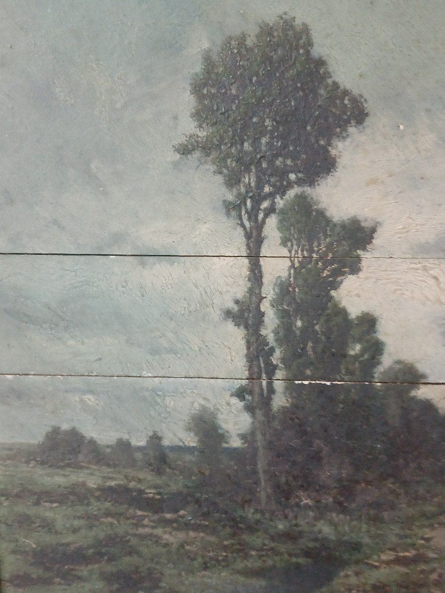 Paysage Alberto Pasini-photo-4