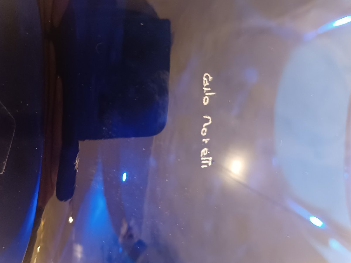 Coupe Murano-photo-2