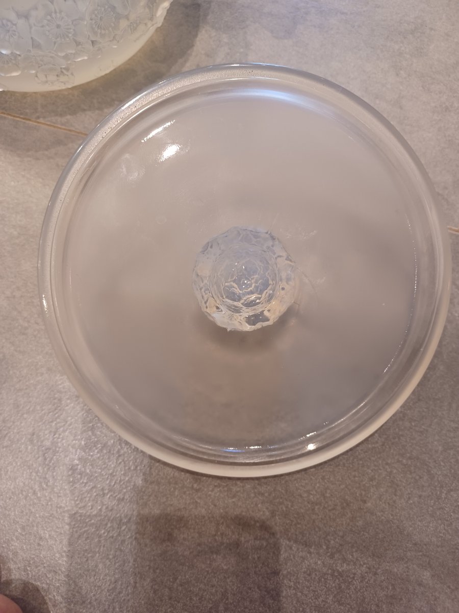 René Lalique 'primrose Box-photo-4
