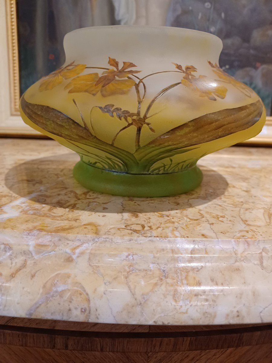 Daum Nancy , Coupe Orchidées