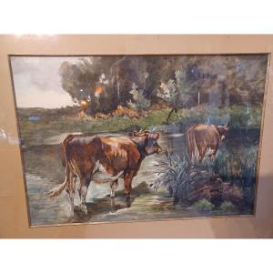 Guigné Eugène Alexis, Watercolor "cows At The Watering Place"