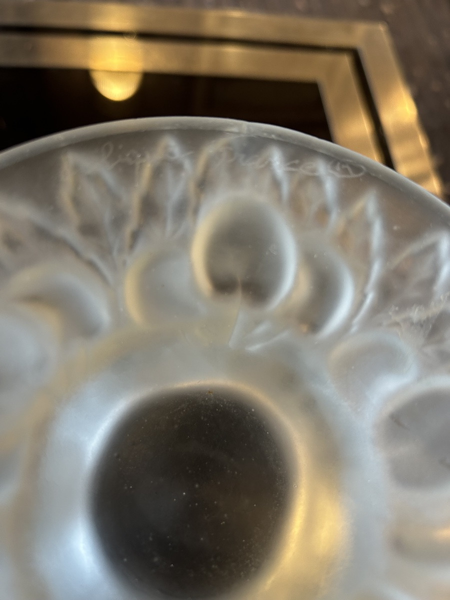 Coupe à fruits, décor de cerise signée Lalique r France -photo-1