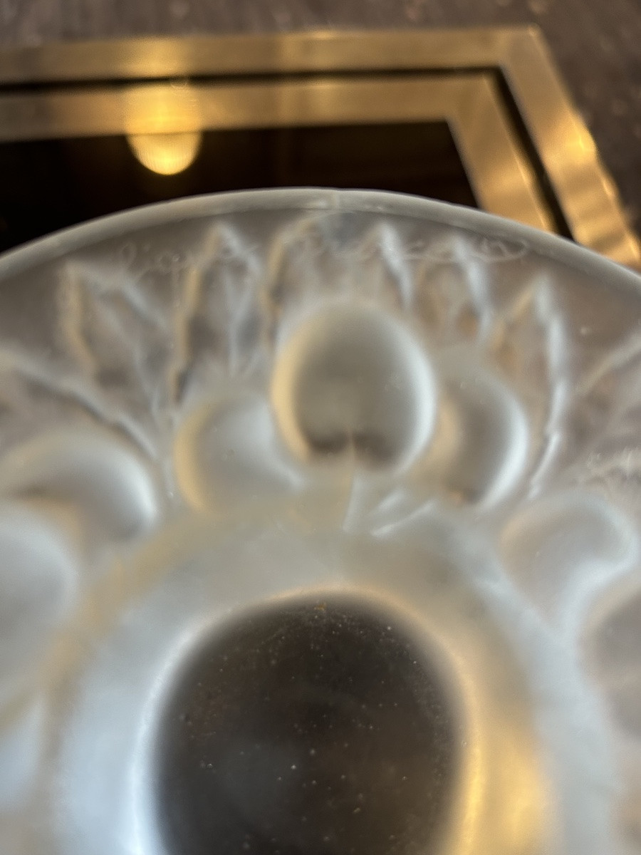 Coupe à fruits, décor de cerise signée Lalique r France -photo-2