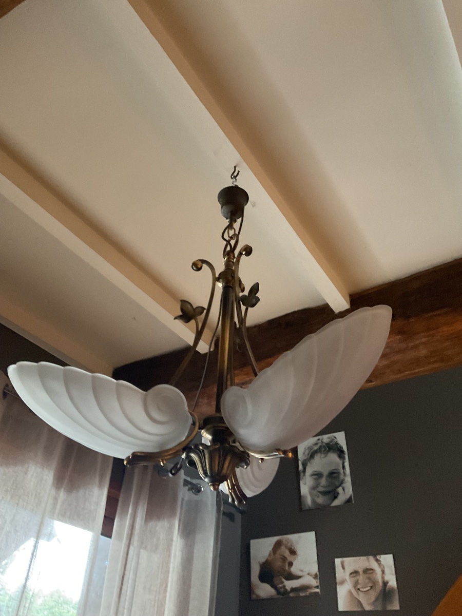 Chandelier, 1930s Seashell Pendant Light-photo-3