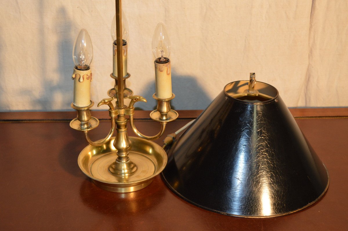 Hot Water Bottle Lamp In Bronze-photo-1