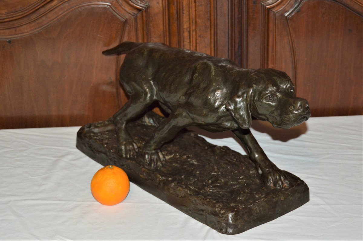 Grande Sculpture, Chien De Chasse Signée Olivier De Fillol-photo-2