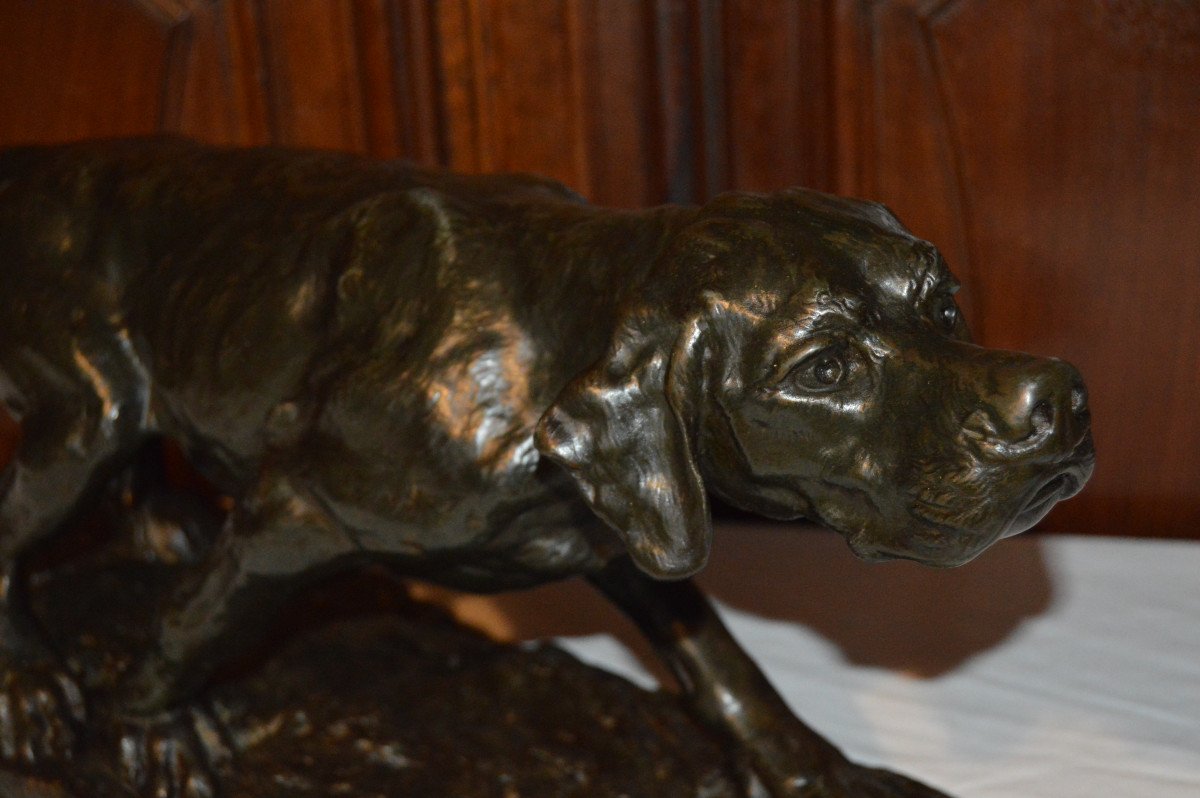 Large Sculpture, Hunting Dog Signed Olivier De Fillol-photo-4