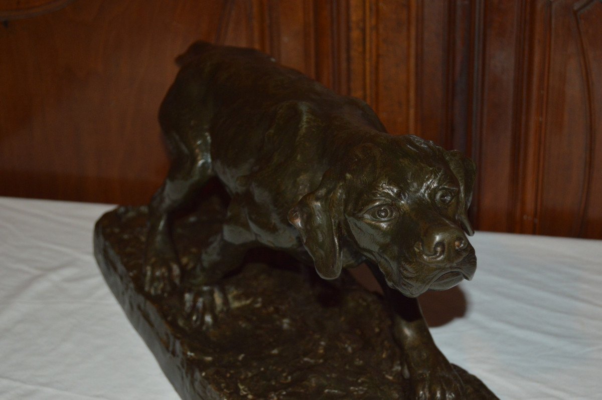 Large Sculpture, Hunting Dog Signed Olivier De Fillol-photo-6