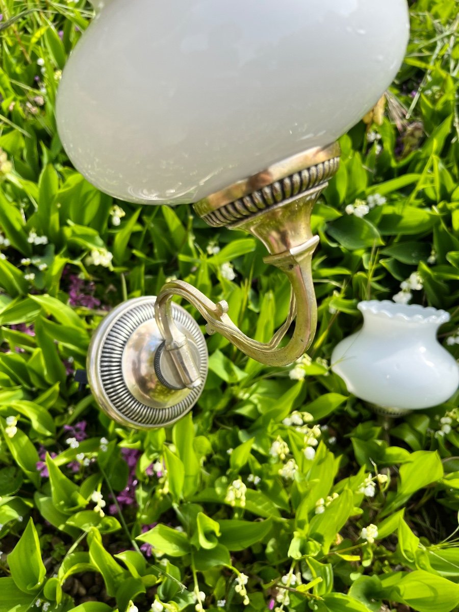 Lily Of The Valley Lights-photo-3