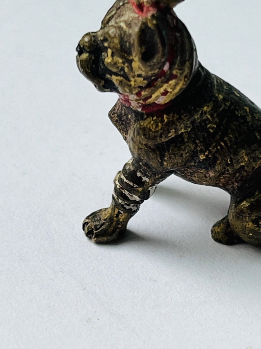 Vienna Bronze Miniature Injured Dog -photo-2
