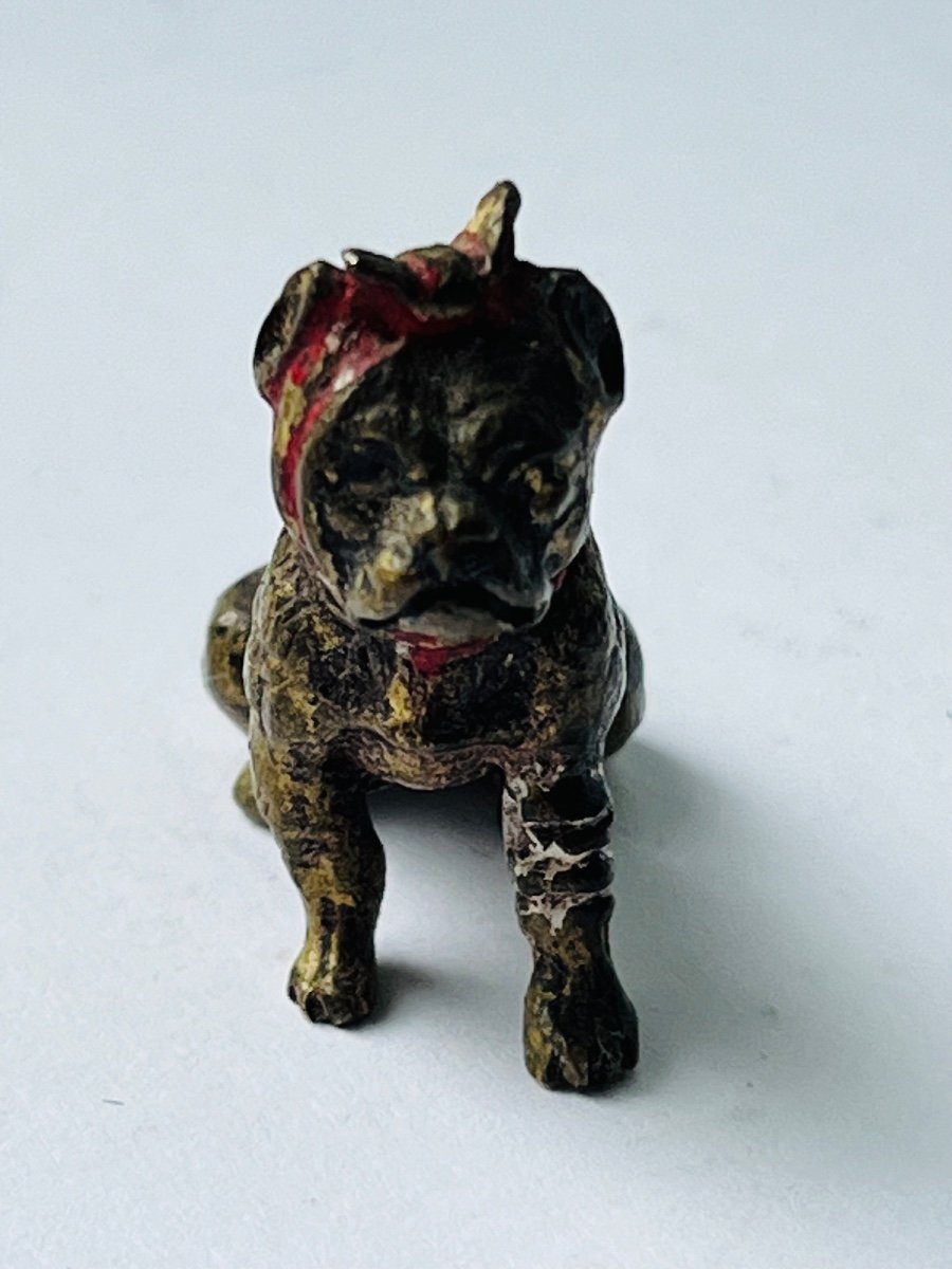 Vienna Bronze Miniature Injured Dog -photo-3