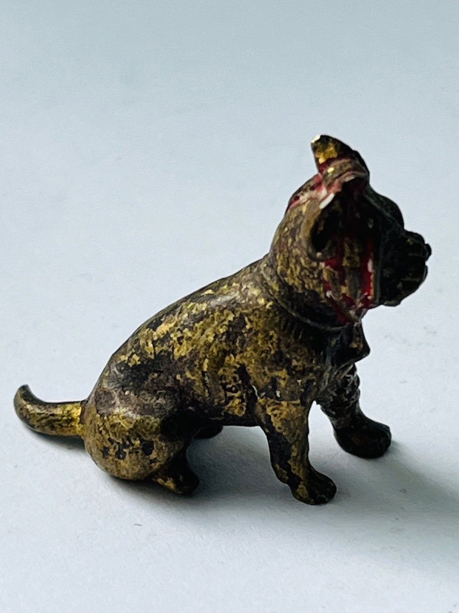 Vienna Bronze Miniature Injured Dog -photo-4