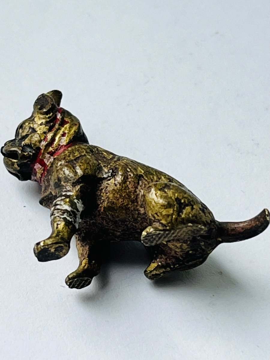 Vienna Bronze Miniature Injured Dog -photo-1