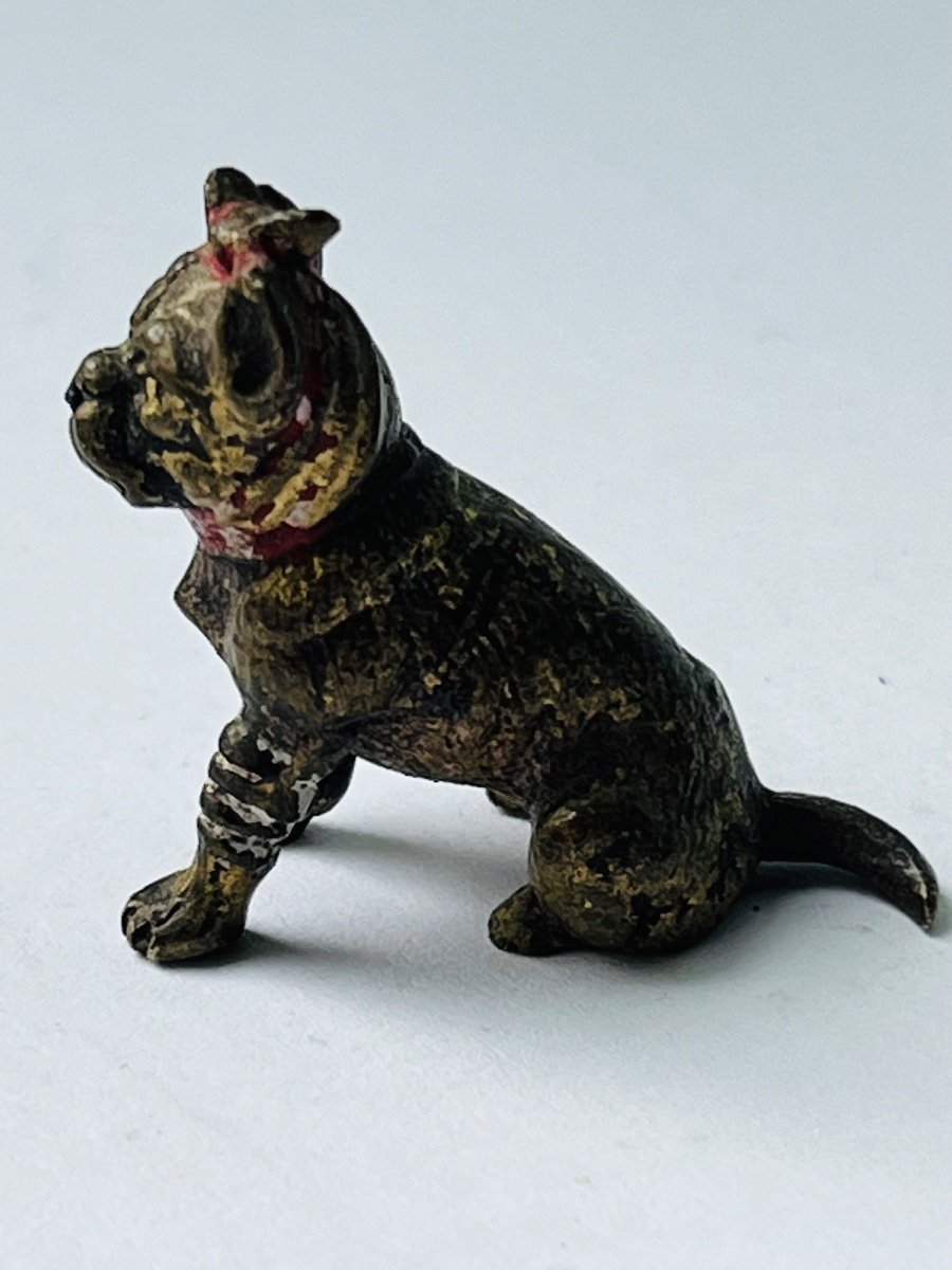 Vienna Bronze Miniature Injured Dog 