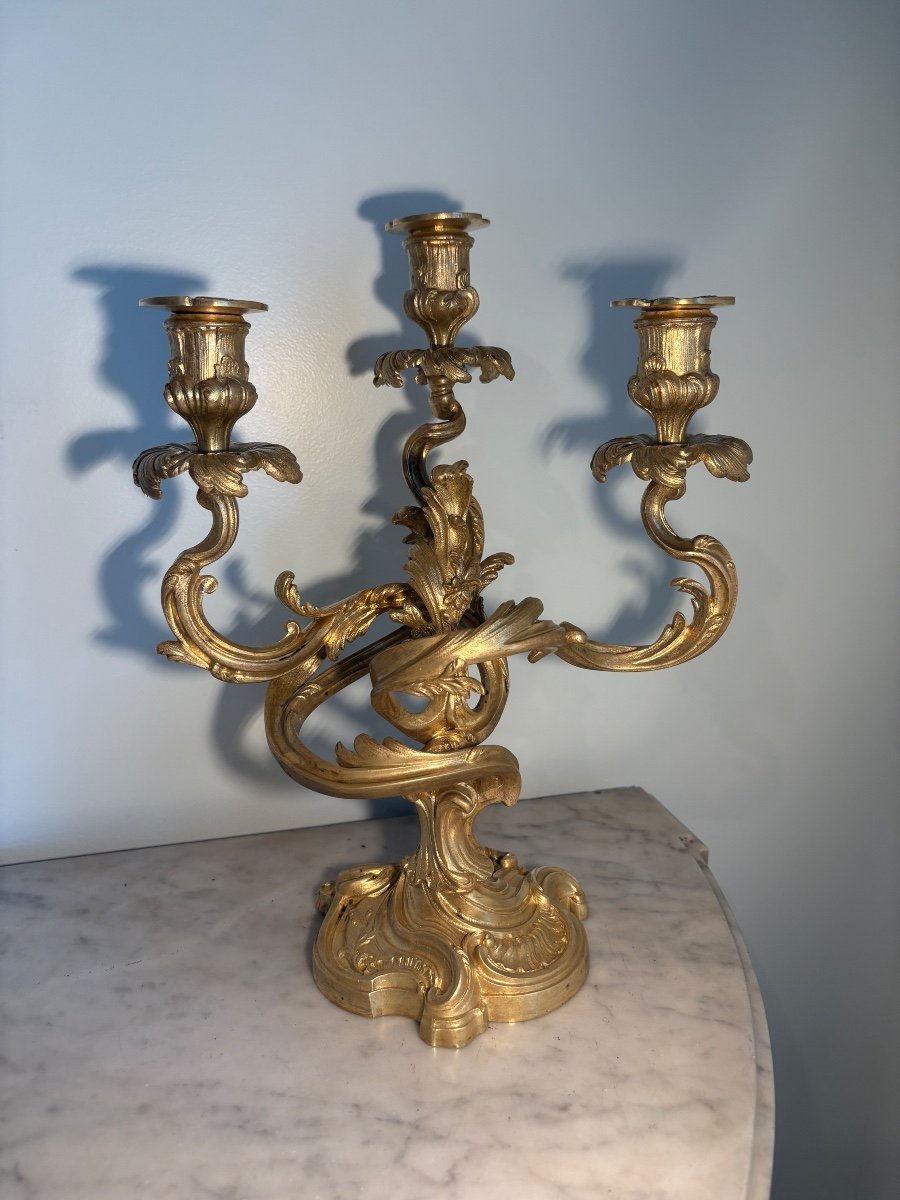 Chandeliers Rocaille en bronze doré Louis XV -photo-4