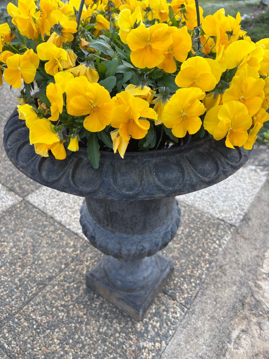 Pair Of Large Cast Iron Medici Vases -photo-3