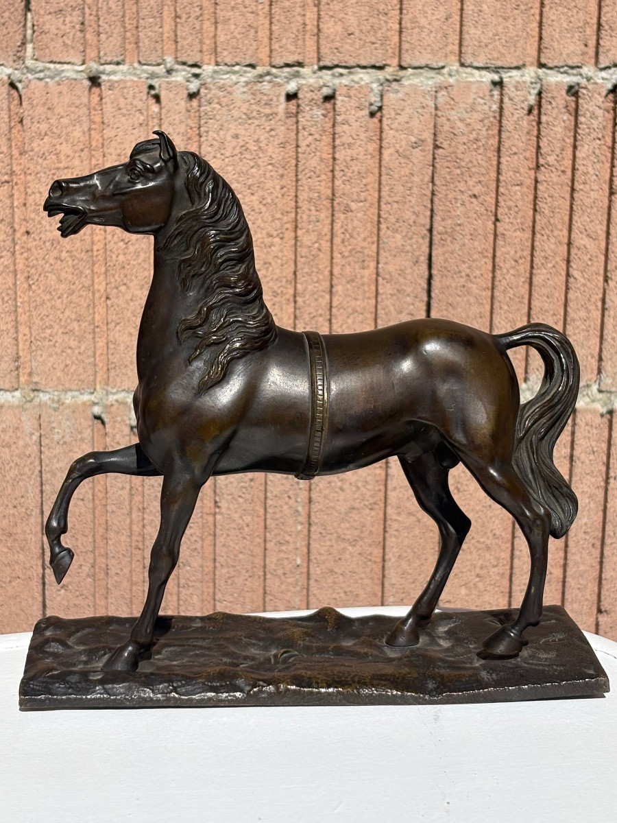 Bronze cheval antérieur levé-photo-2