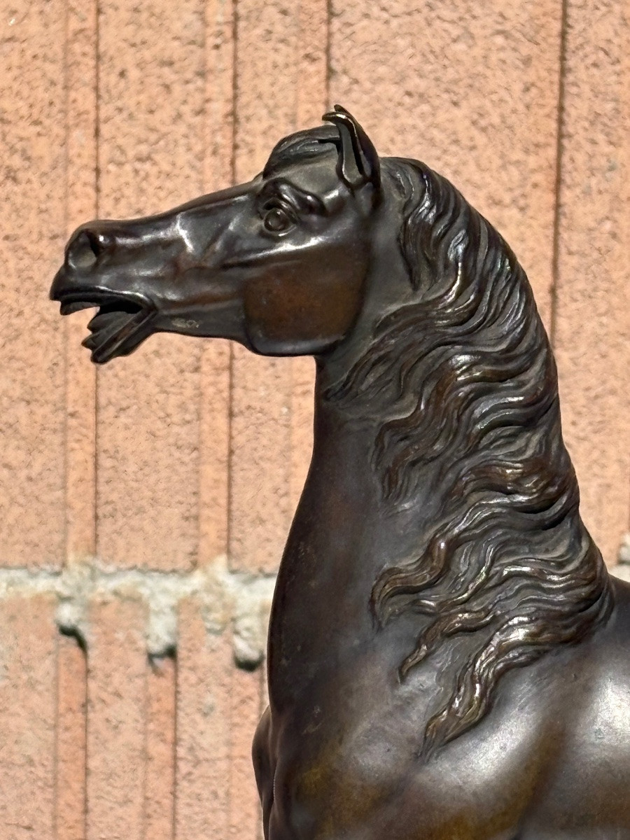 Bronze cheval antérieur levé-photo-3