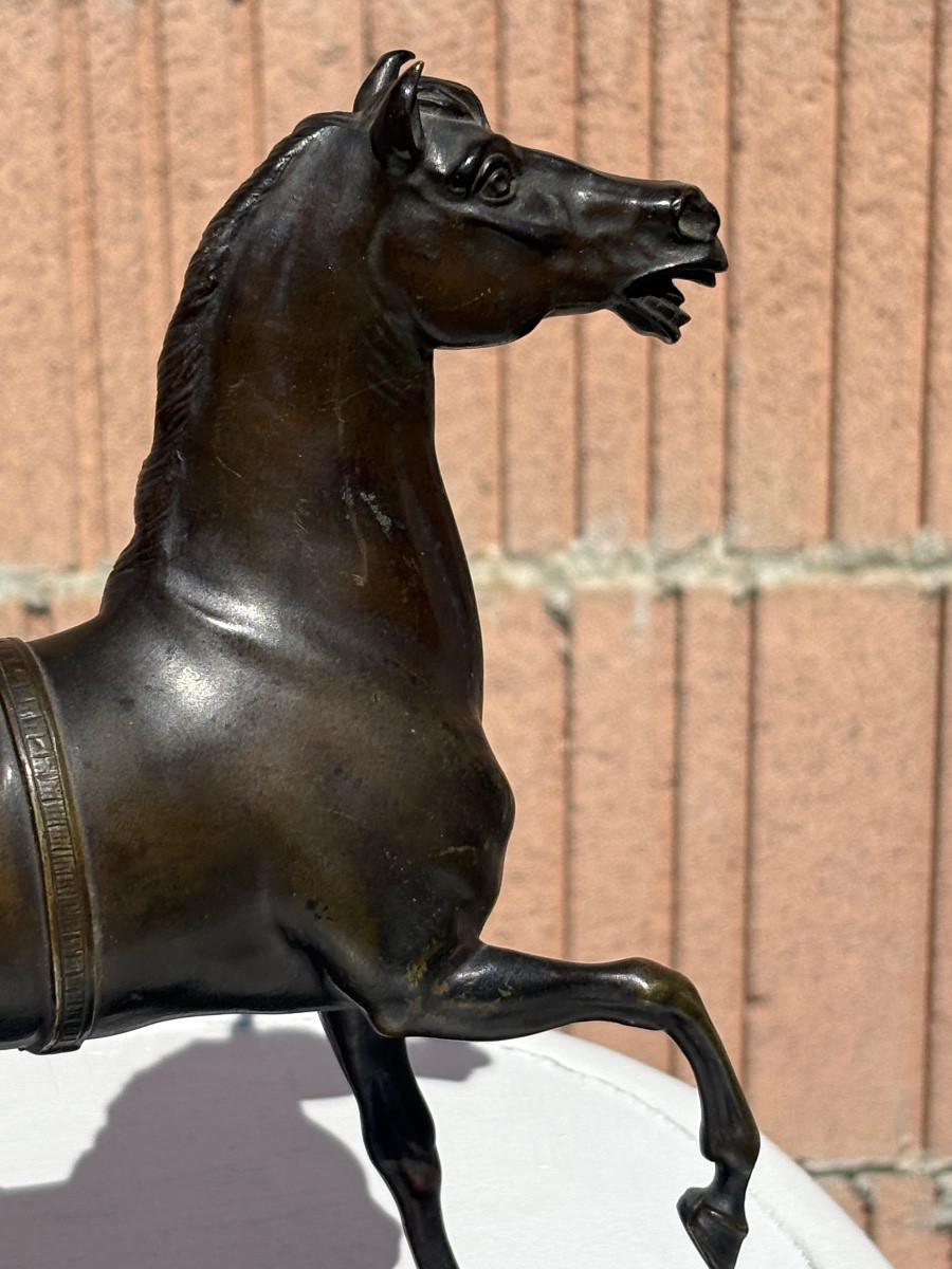 Bronze cheval antérieur levé-photo-2