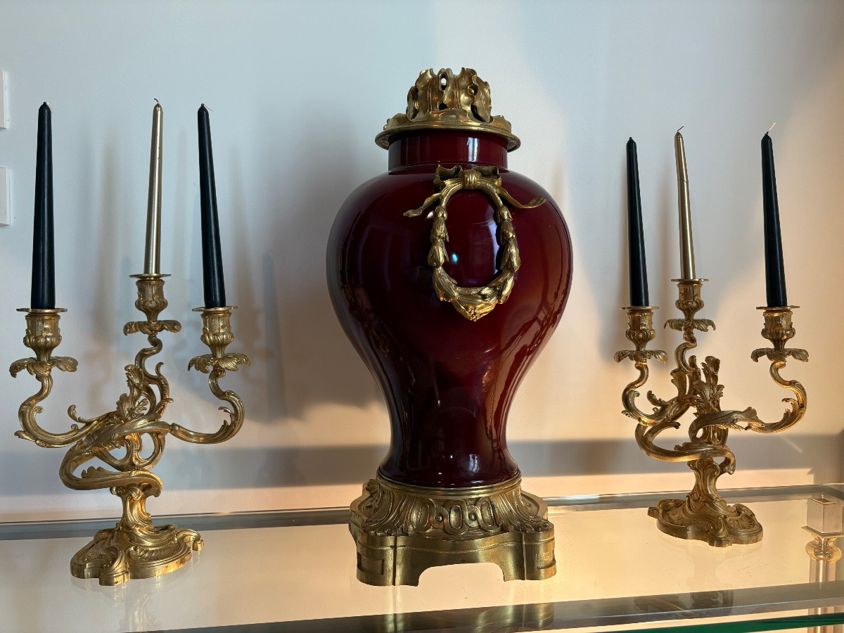 Vase Louis XVI porcelaine monture bronze -photo-1