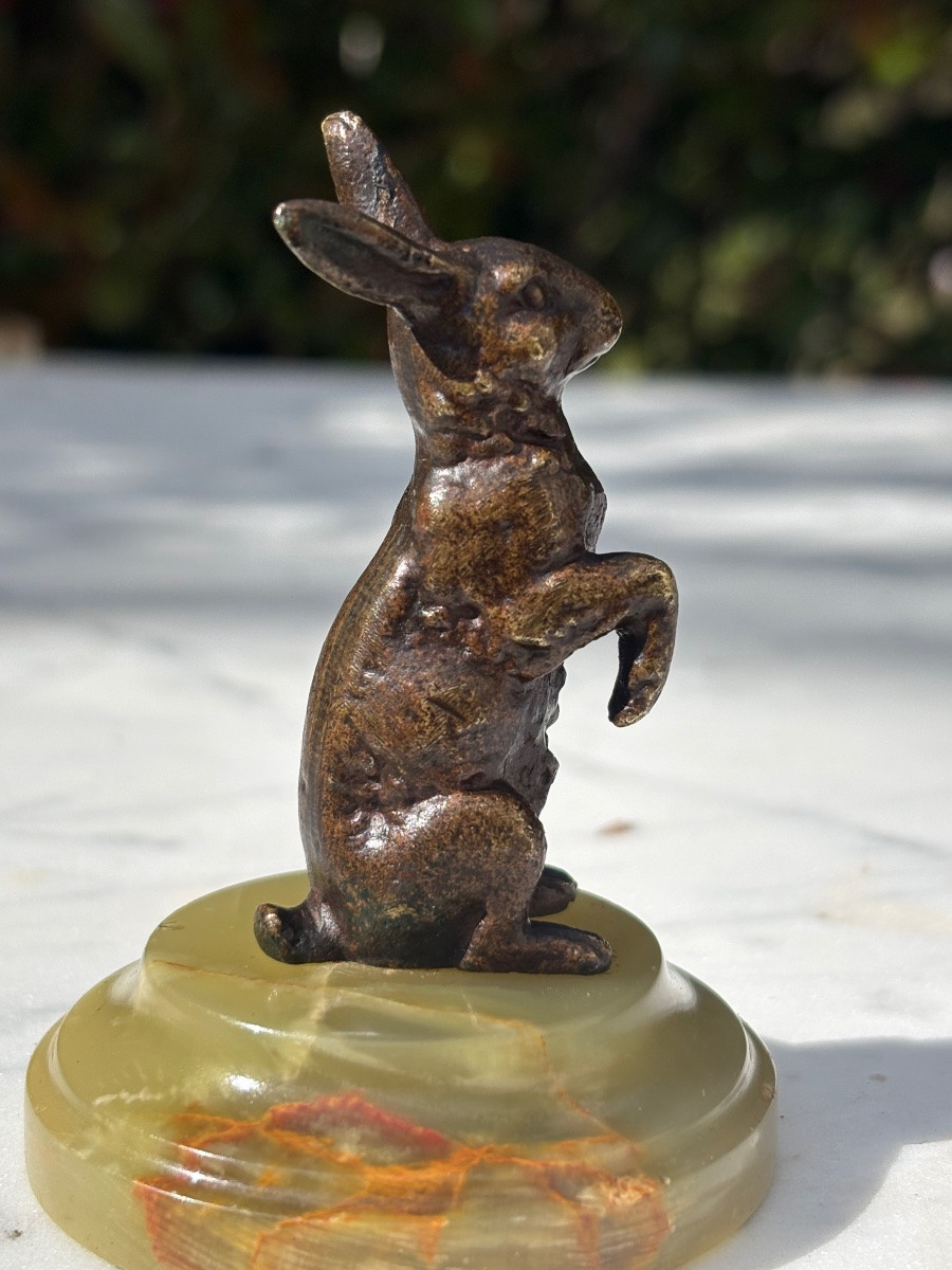 Bronze animalier lapin -photo-4