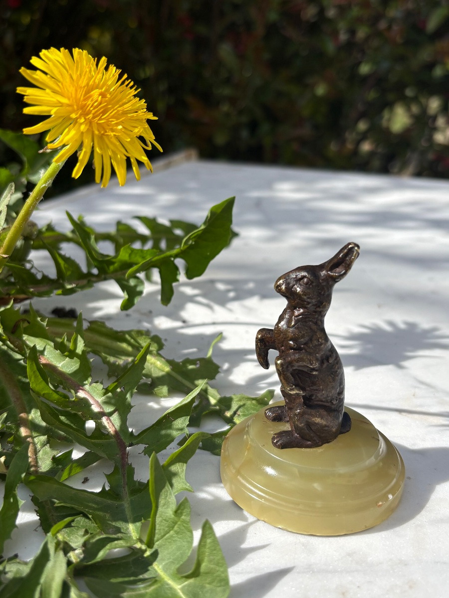 Bronze animalier lapin -photo-3