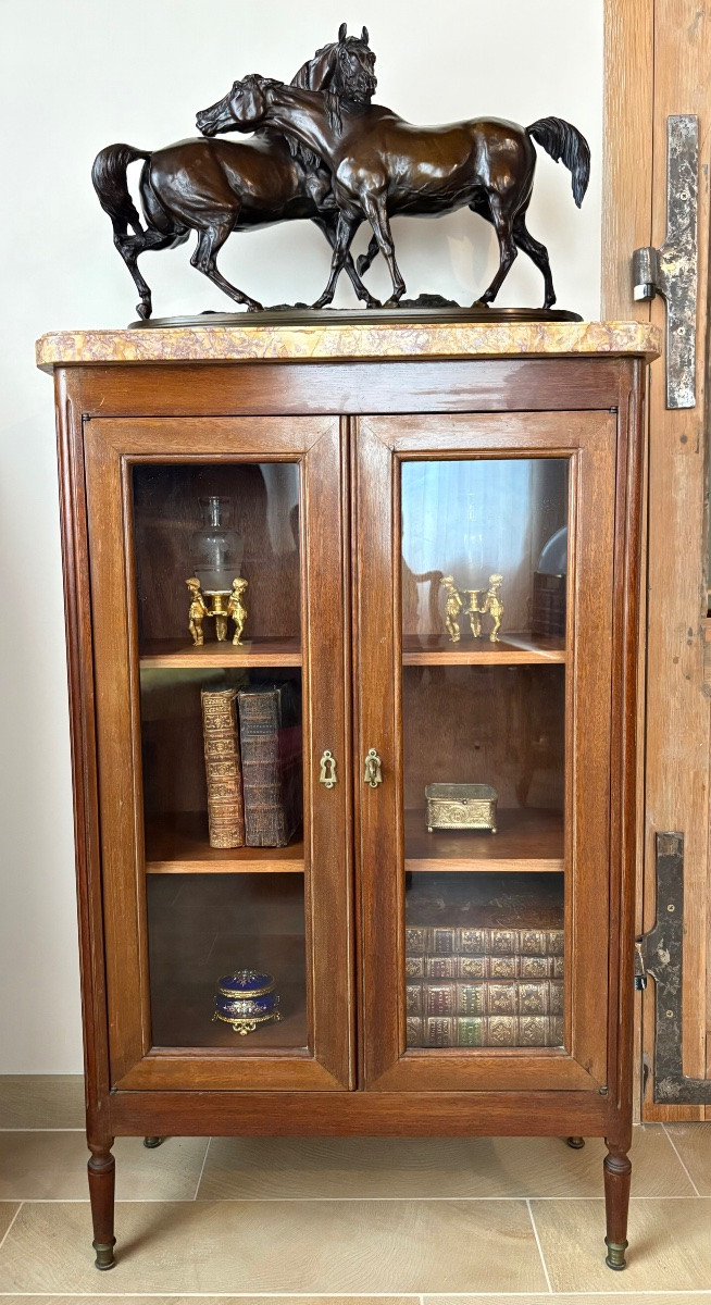 Petite bibliothèque Louis XVI en acajou -photo-4
