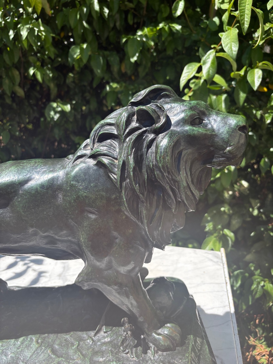 Sculpture lion debout bronze par Alfred-Désiré Lanson-photo-3