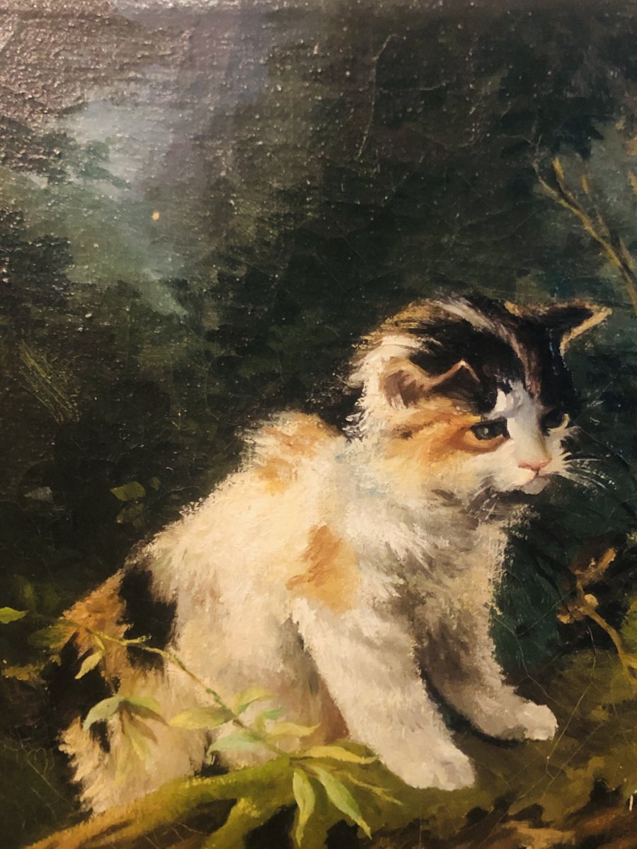 Painting Of 3 Kittens Playing In Nature By J Svobody-photo-3