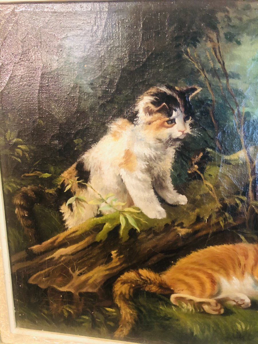 Painting Of 3 Kittens Playing In Nature By J Svobody-photo-1