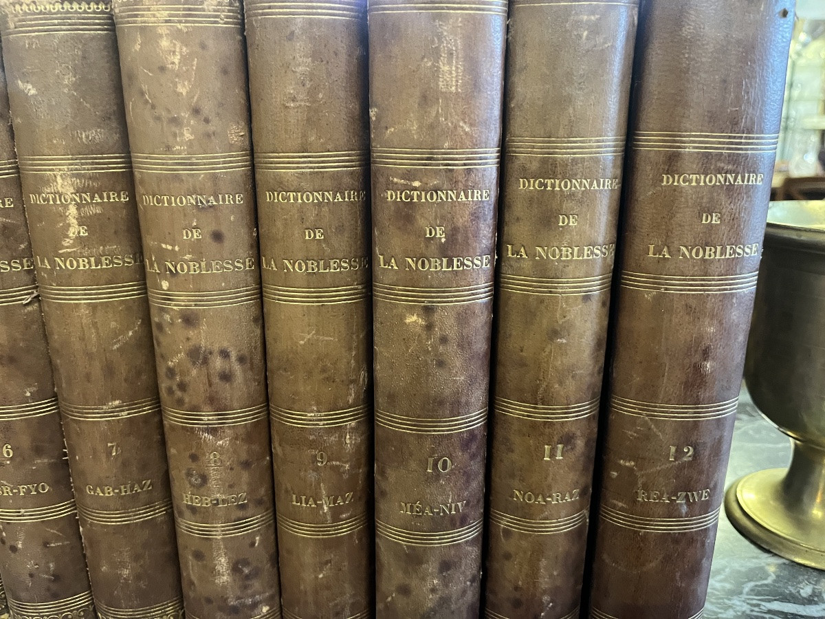 Dictionnaire De La Noblesse 1770-photo-2