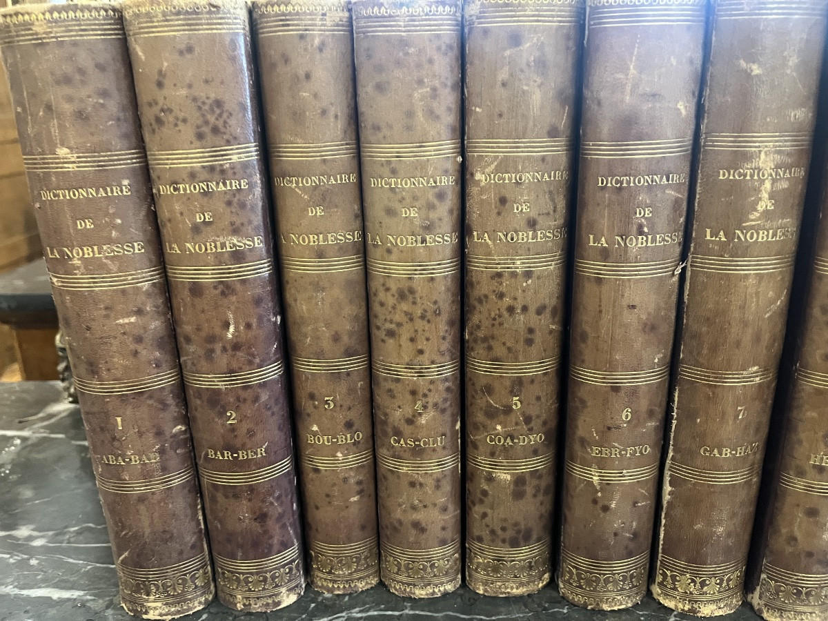 Dictionnaire De La Noblesse 1770-photo-3