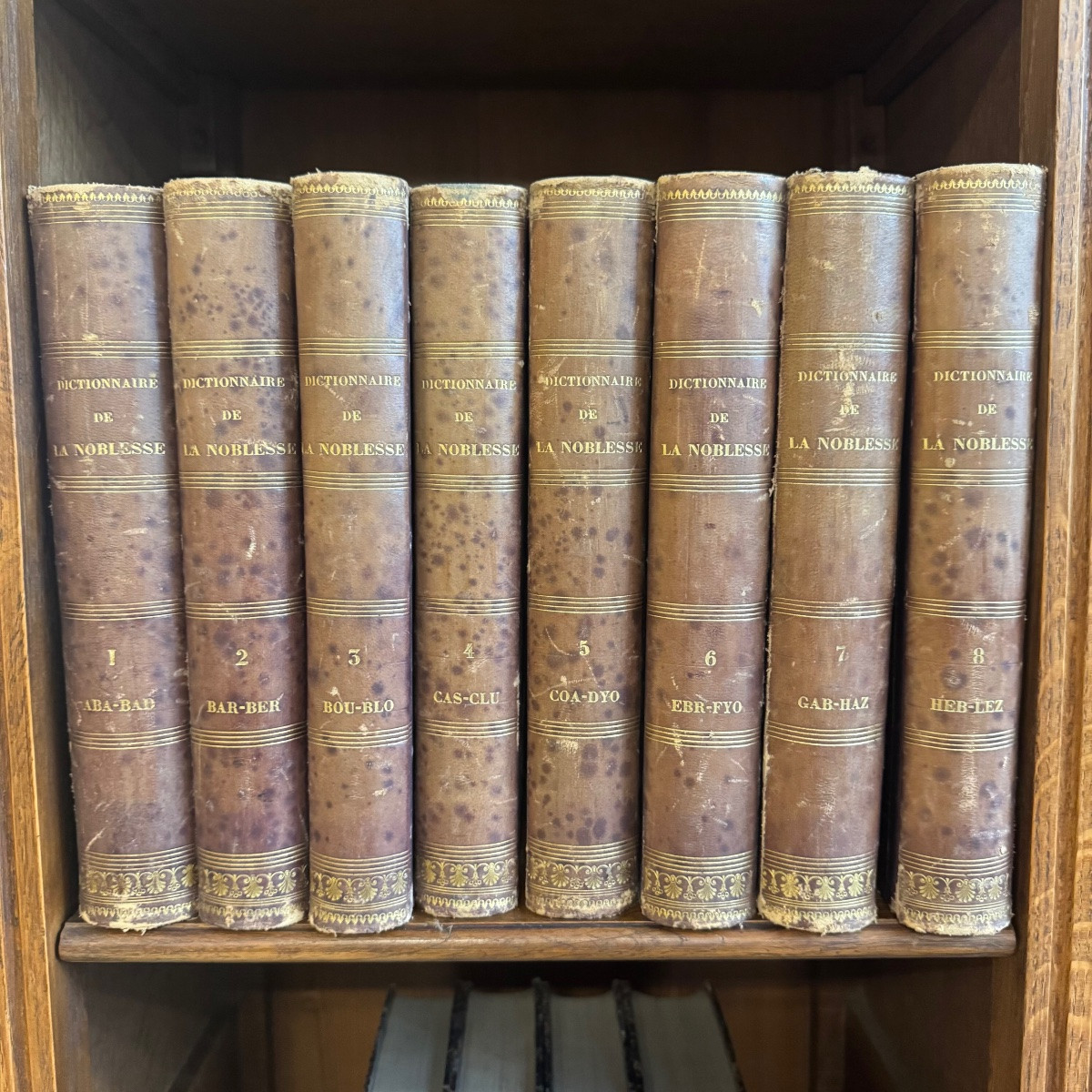 Dictionnaire De La Noblesse 1770-photo-6