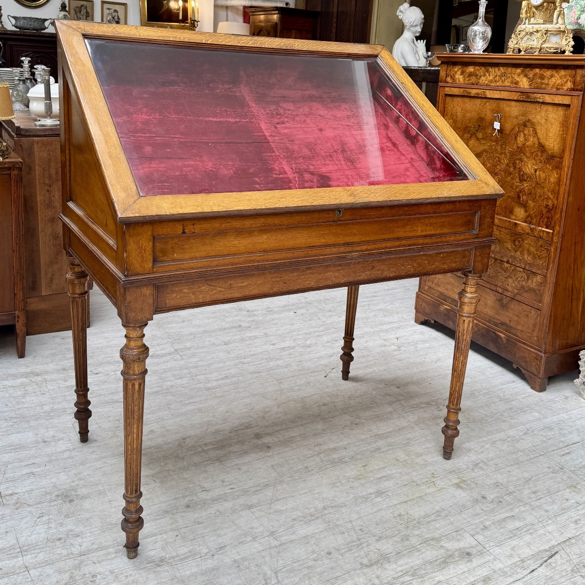 Collector's Showcase-photo-3