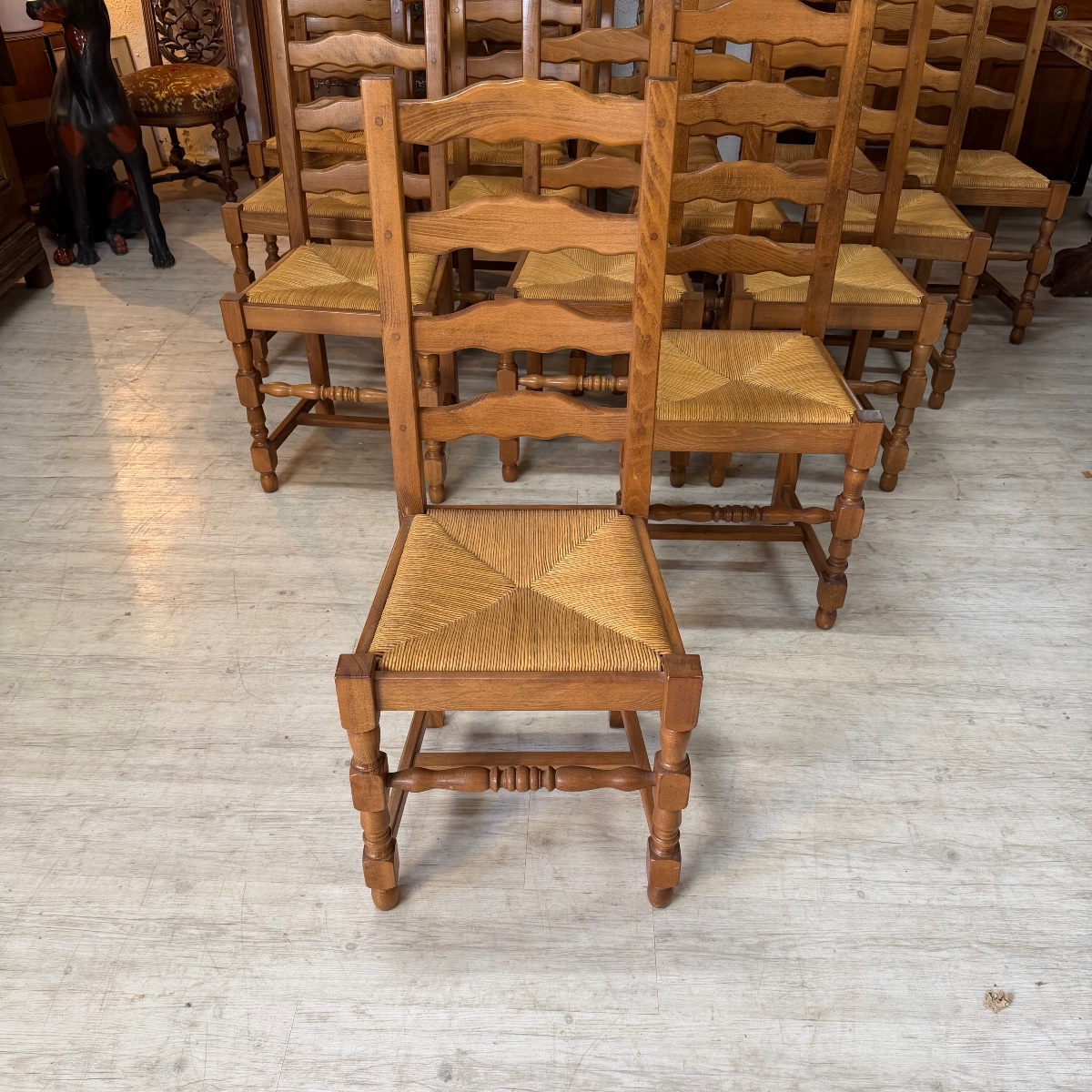 14 chaises type campagne-photo-4