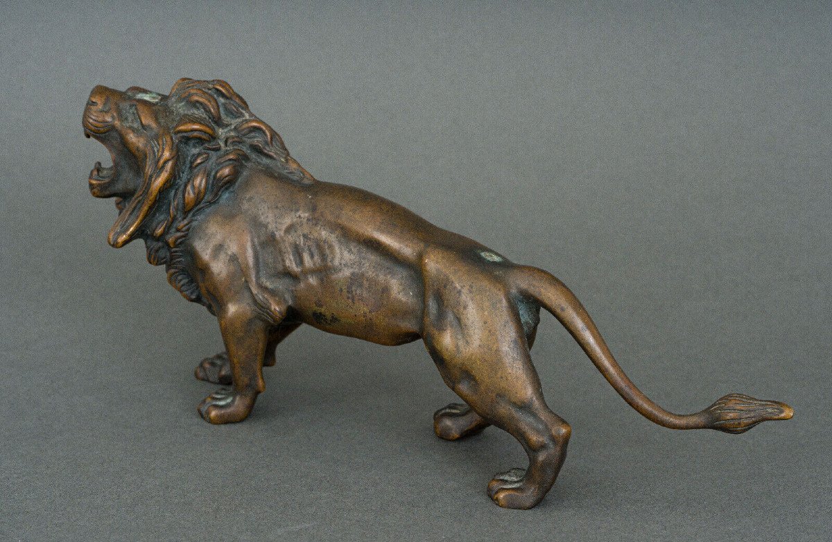 Statue en bronze représentant un lion XIXe Patine brune nuancée clair-photo-2