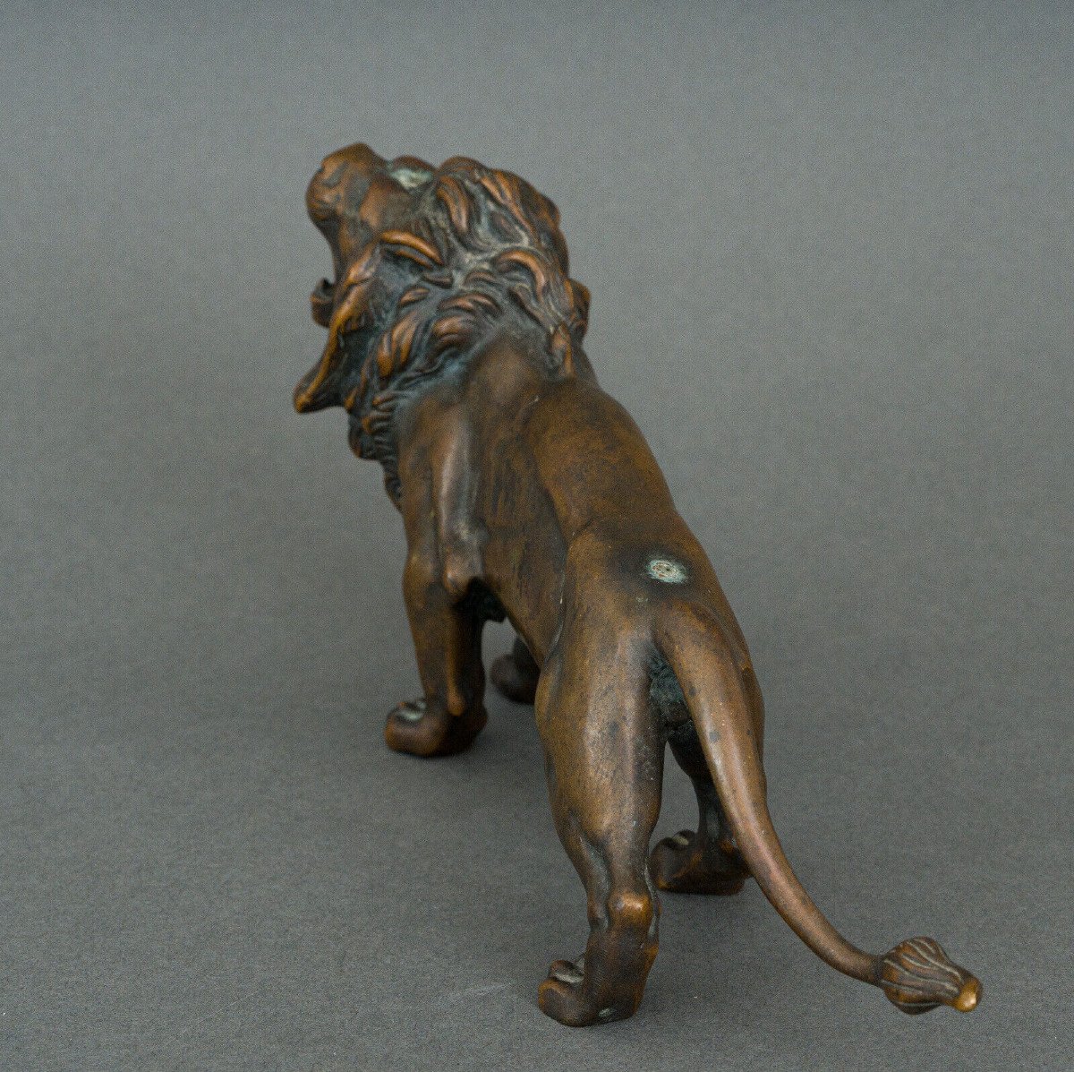 Statue en bronze représentant un lion XIXe Patine brune nuancée clair-photo-3
