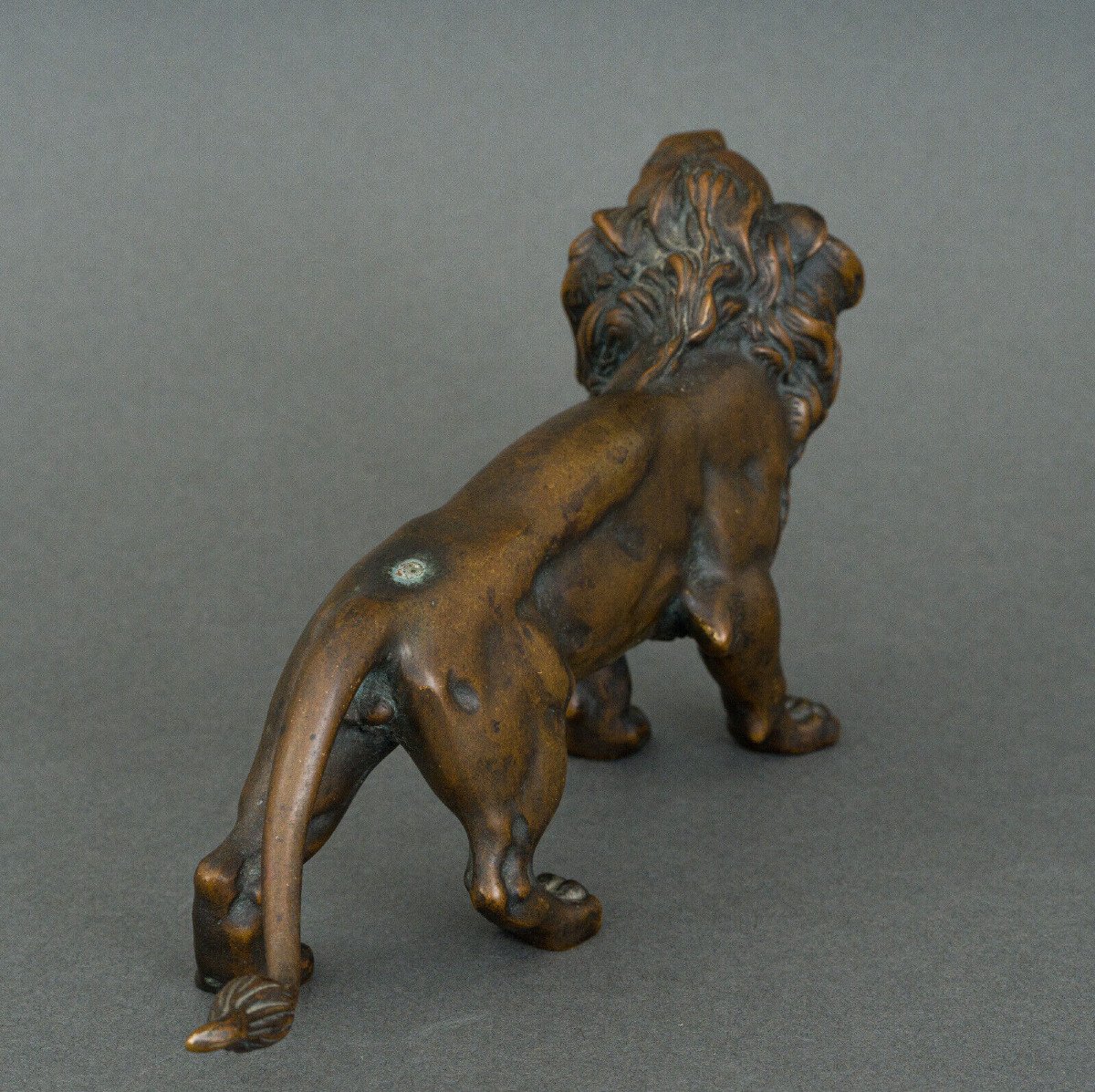 Statue en bronze représentant un lion XIXe Patine brune nuancée clair-photo-4