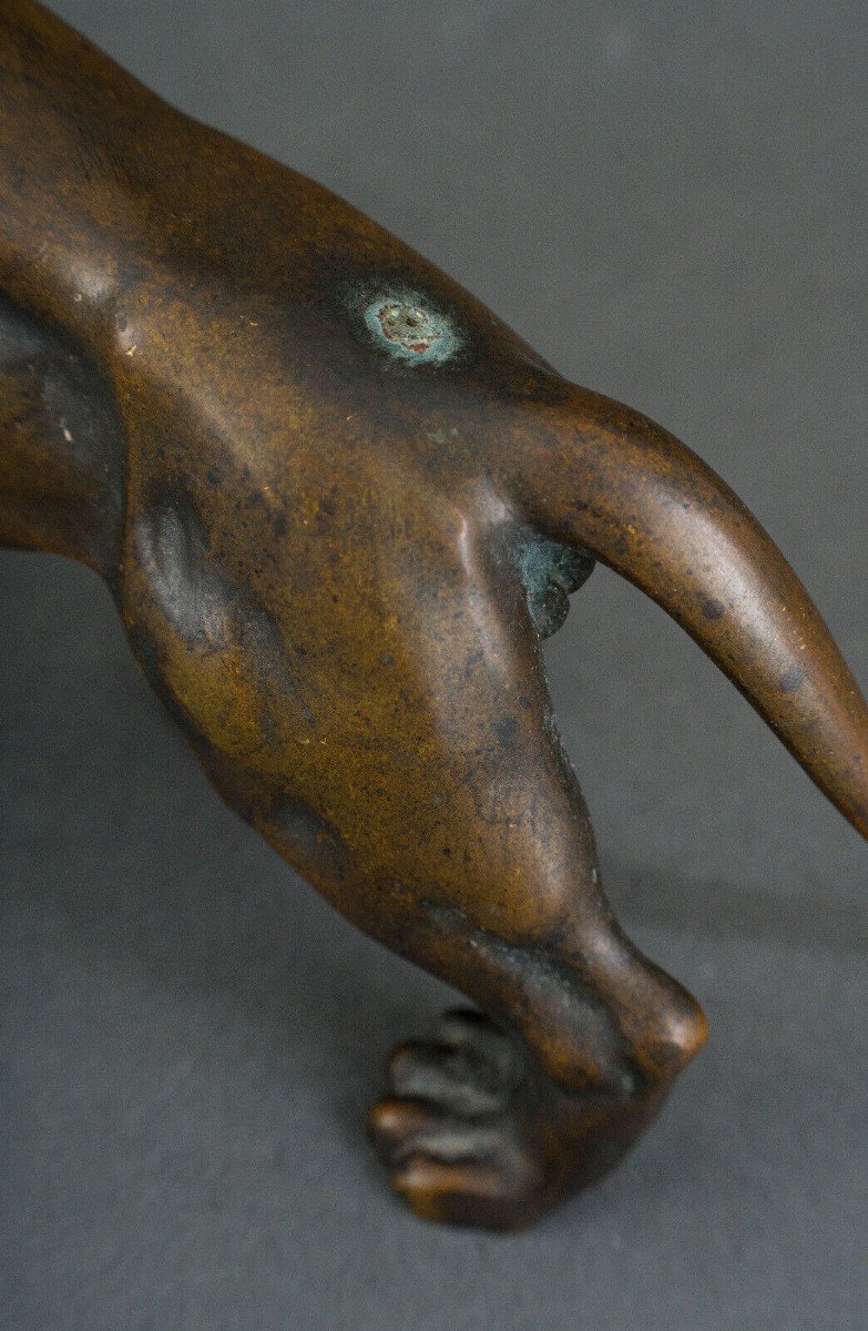 Statue en bronze représentant un lion XIXe Patine brune nuancée clair-photo-5