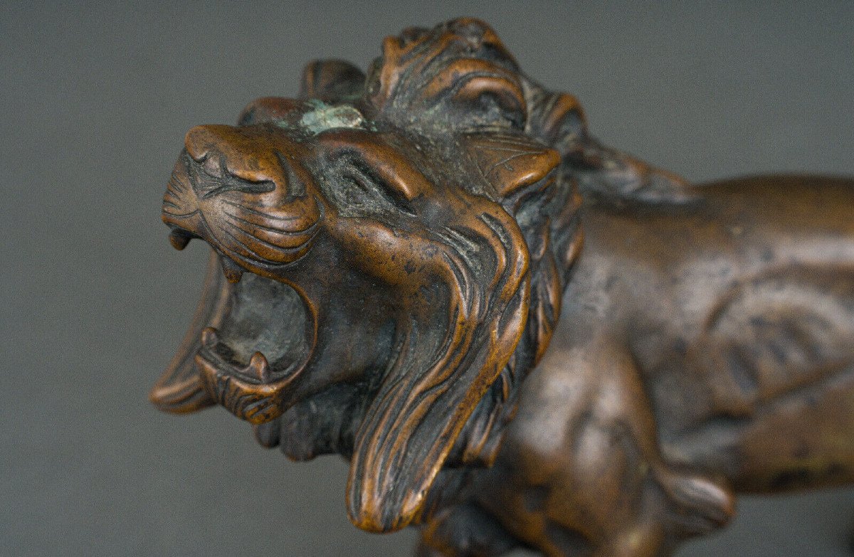 Statue en bronze représentant un lion XIXe Patine brune nuancée clair-photo-6