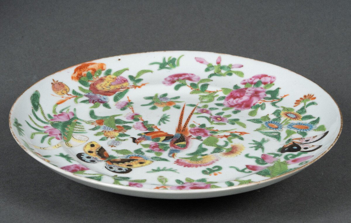 Assiette en porcelaine XIXe Canton décor floral et de papillons-photo-3