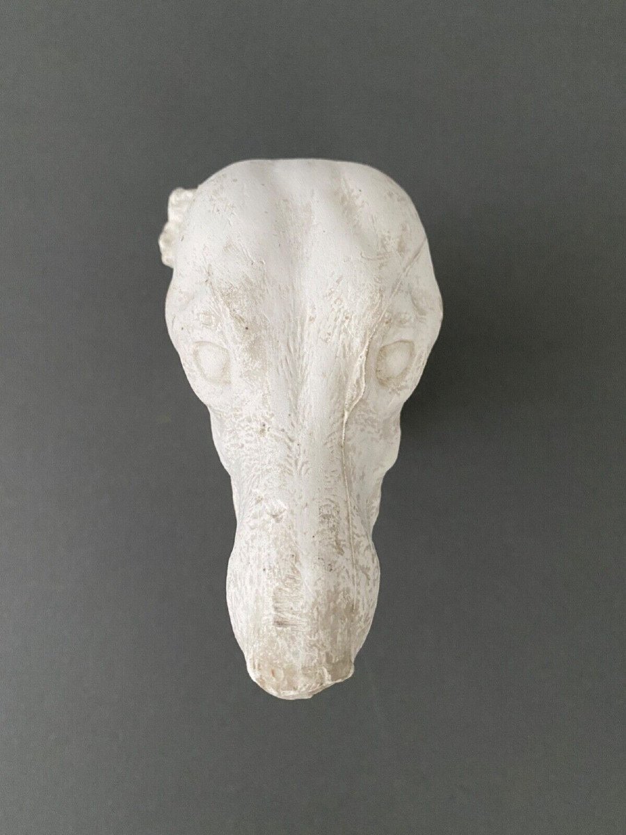 Workshop Sculpture In Plaster Head Of A Greyhound Twentieth-photo-3