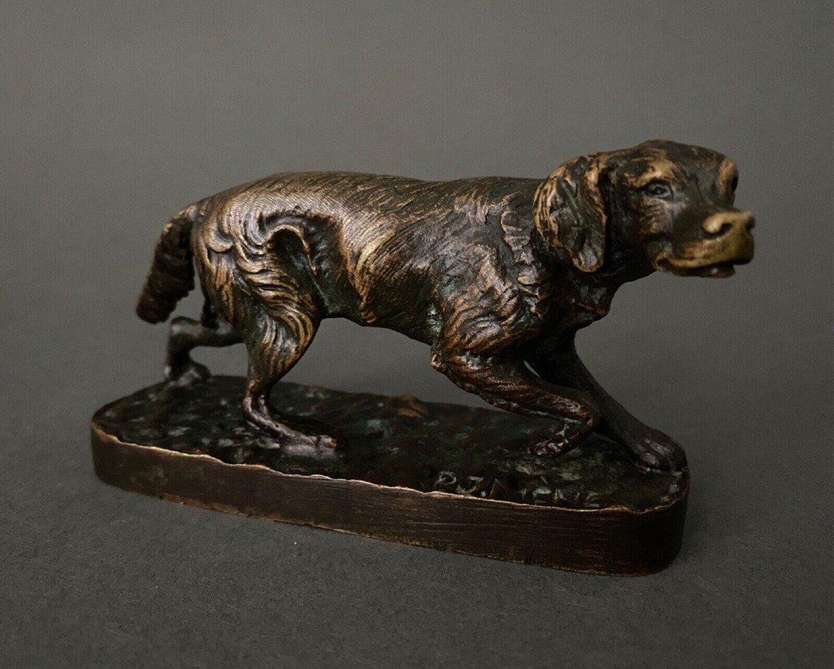 French Spaniel Dog In Bronze By Pierre-jules Mêne 1810-1879-photo-3