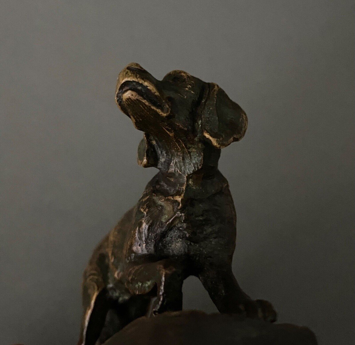 French Spaniel Dog In Bronze By Pierre-jules Mêne 1810-1879-photo-7