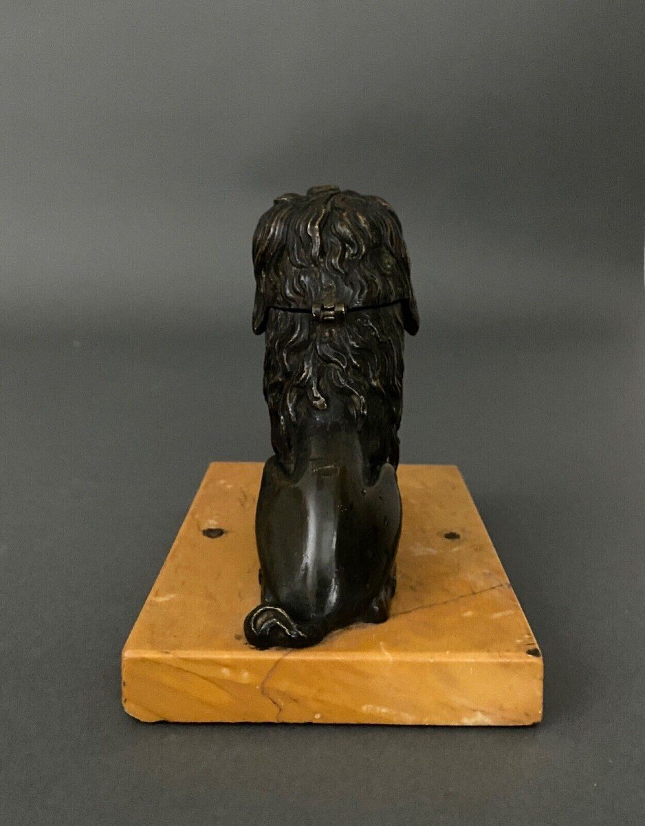 Rare Bronze Poodle With Black Patina Forming An Inkwell On Siena Marble-photo-3