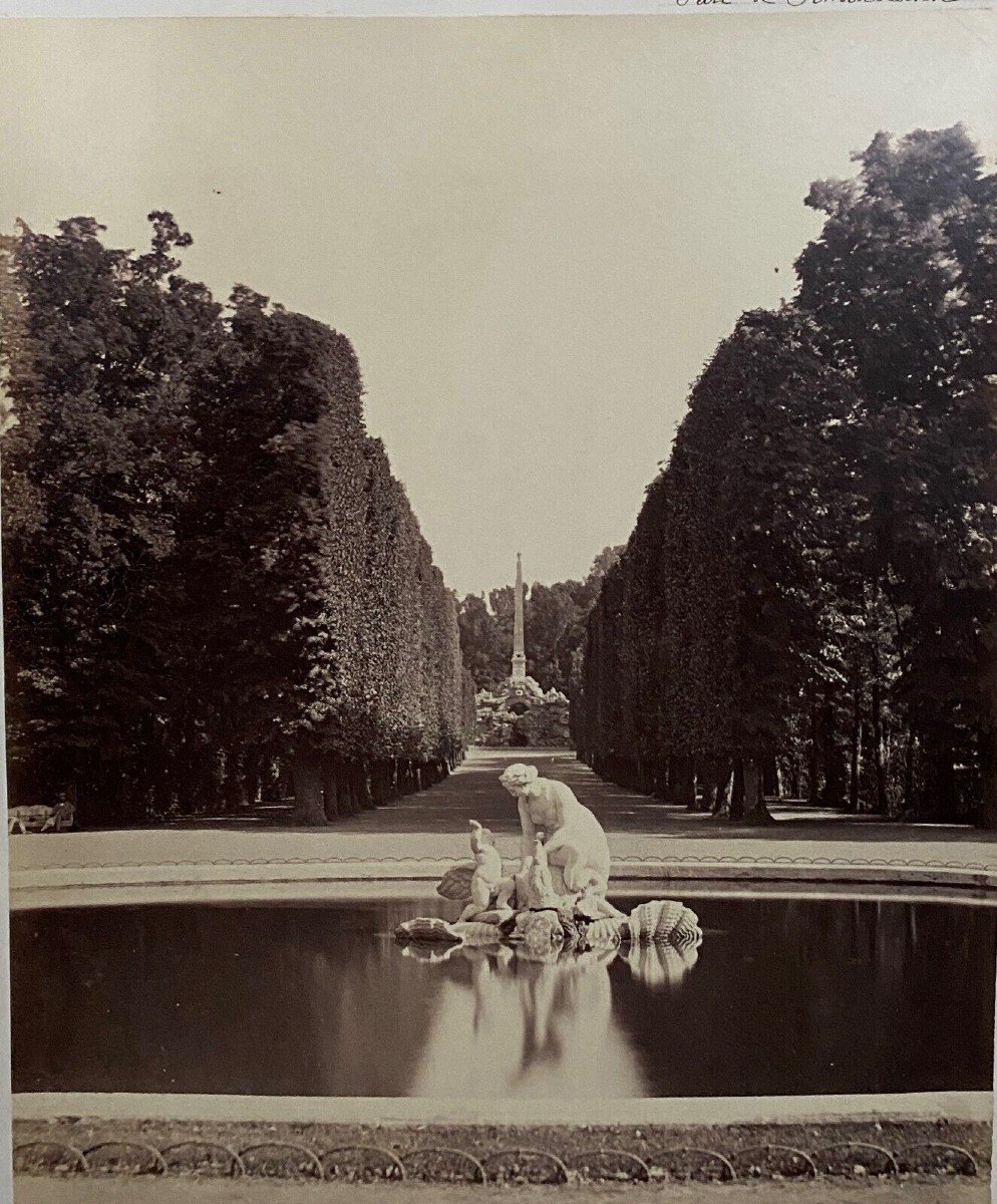 Photo Parc de Schoenbrunn XIXe albumine carton contrecollé