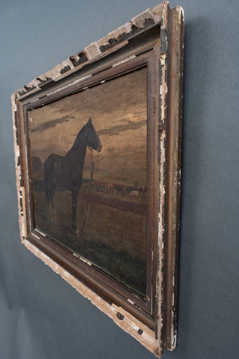 19th Century Oil On Panel Representing A Horse-photo-3