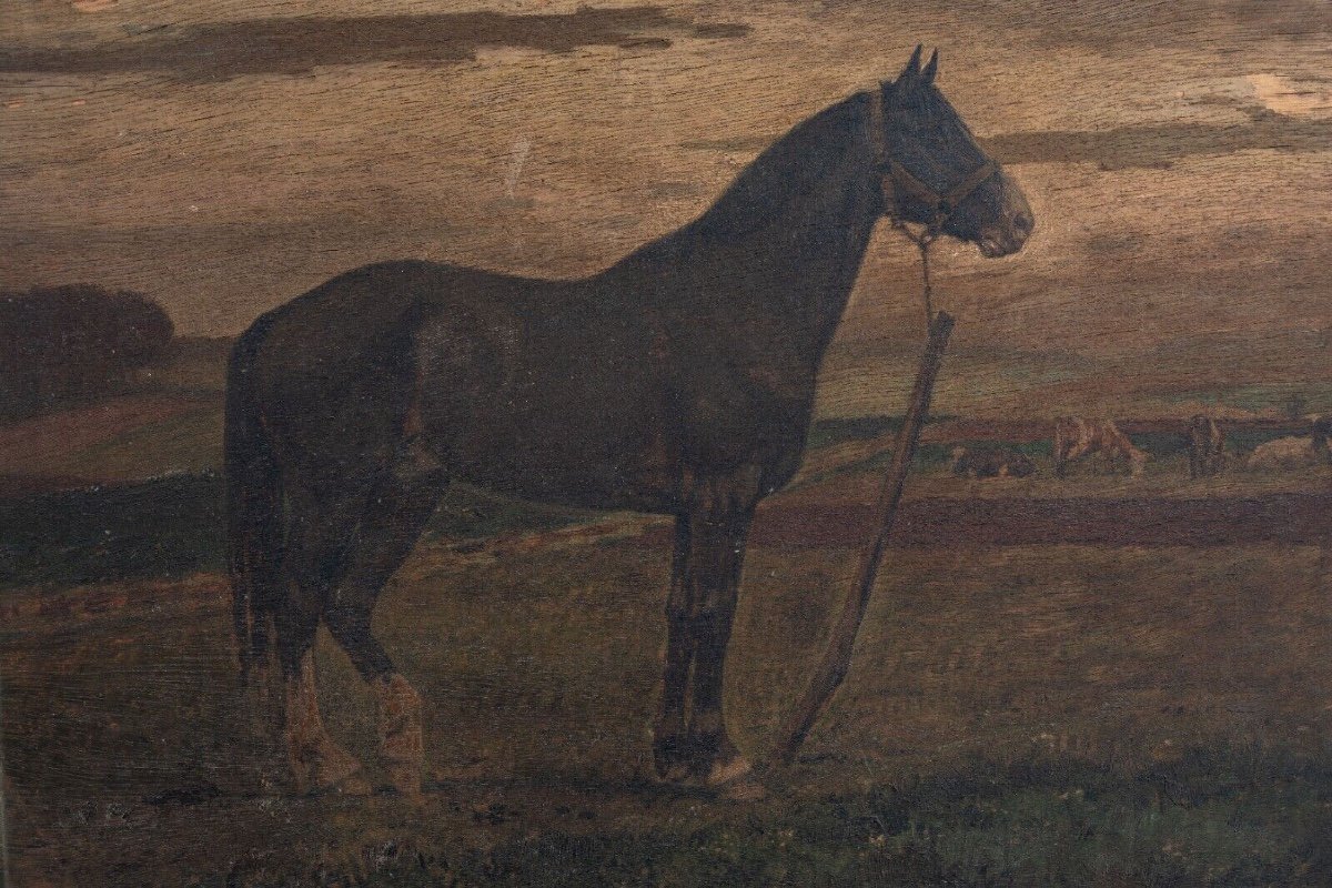 19th Century Oil On Panel Representing A Horse-photo-4